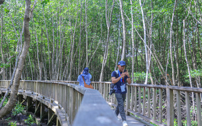 [SIARAN PERS WORLD WATER FORUM KE-10] Tahura Mangrove Ngurah Rai, Keberhasilan Restorasi Berkelanjutan Indonesia