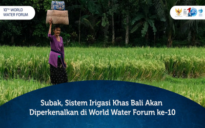 Subak, Sistem Irigasi Khas Bali Akan Diperkenalkan di World Water Forum ke-10