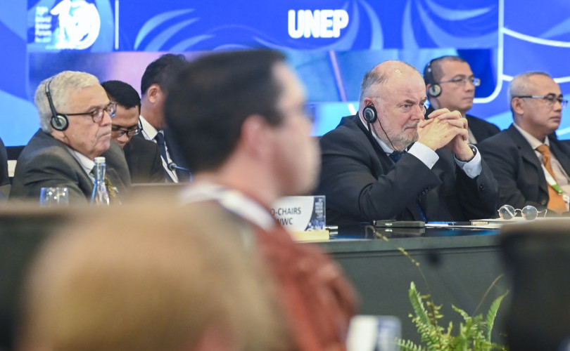 [10TH WORLD WATER FORUM PRESS RELEASE] The 10th World Water Forum Formulates Priorities in Four Regions