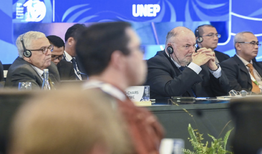 World Water Forum ke-10 Rumuskan Prioritas Tangani Krisis Air di Empat Kawasan